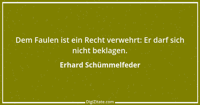 Zitat von Erhard Schümmelfeder 43