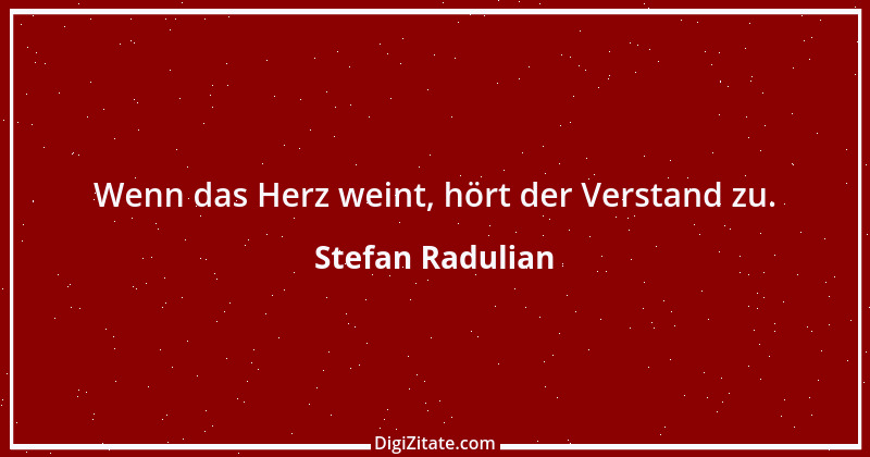 Zitat von Stefan Radulian 3