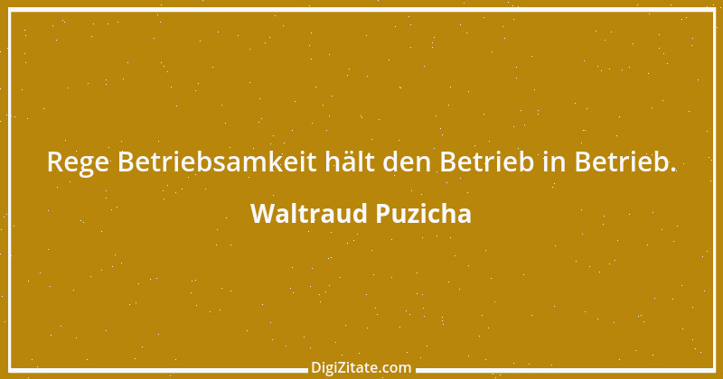 Zitat von Waltraud Puzicha 194