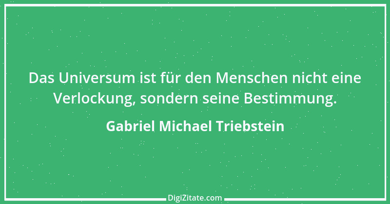 Zitat von Gabriel Michael Triebstein 5