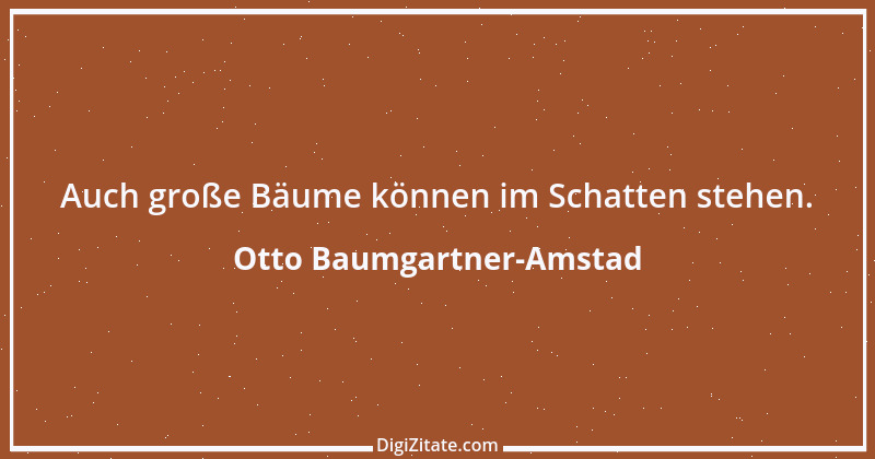 Zitat von Otto Baumgartner-Amstad 93