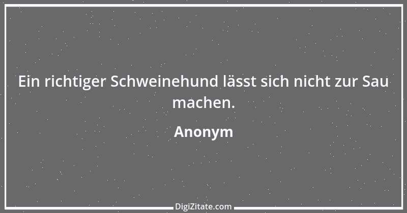 Zitat von Anonym 7514