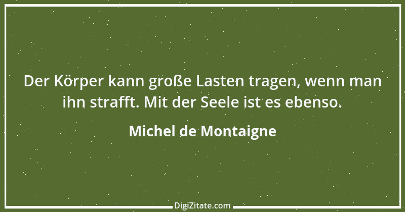 Zitat von Michel de Montaigne 234