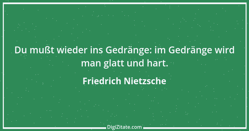 Zitat von Friedrich Nietzsche 484