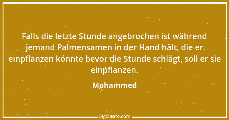 Zitat von Mohammed 63