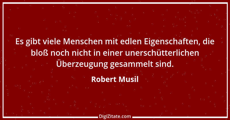 Zitat von Robert Musil 21