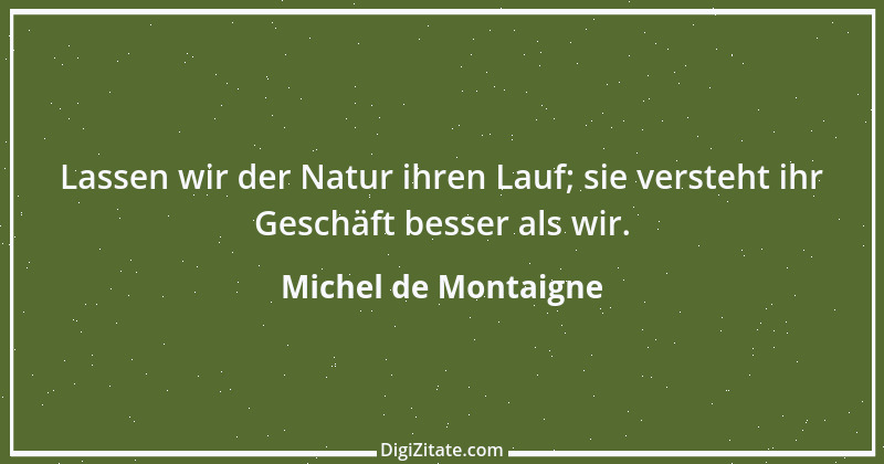 Zitat von Michel de Montaigne 238