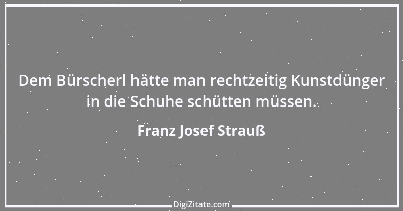 Zitat von Franz Josef Strauß 15