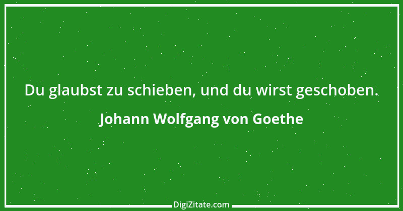 Zitat von Johann Wolfgang von Goethe 1551