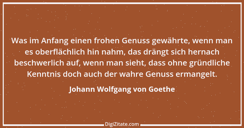 Zitat von Johann Wolfgang von Goethe 551