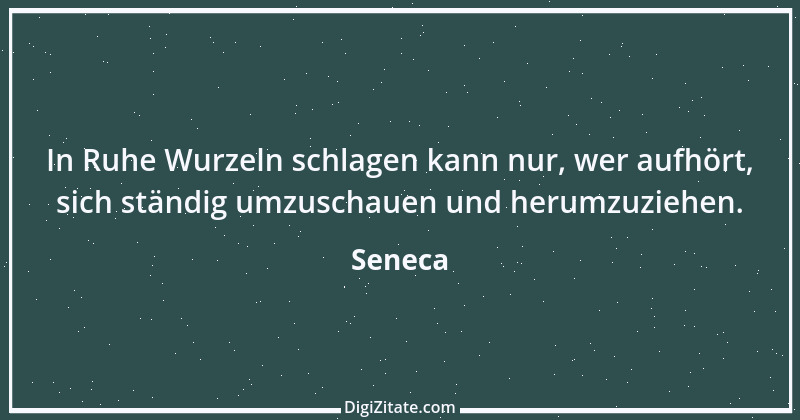 Zitat von Seneca 687