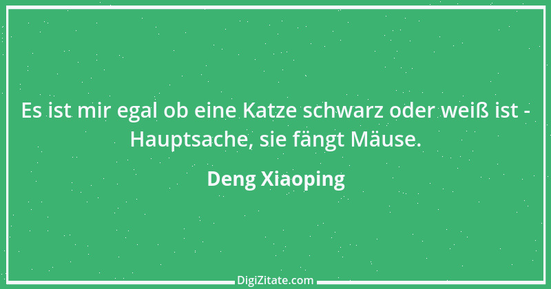 Zitat von Deng Xiaoping 4