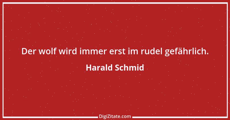 Zitat von Harald Schmid 141