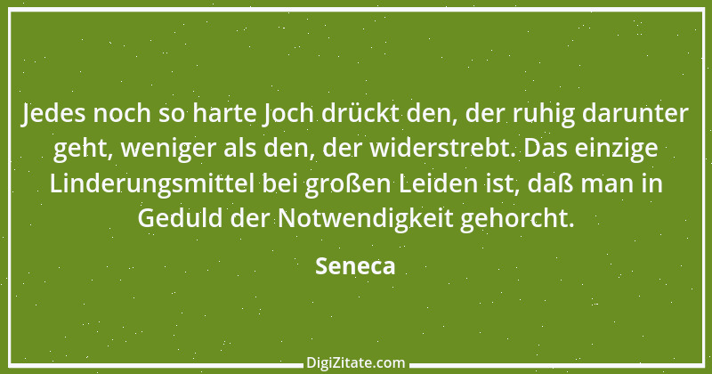 Zitat von Seneca 690