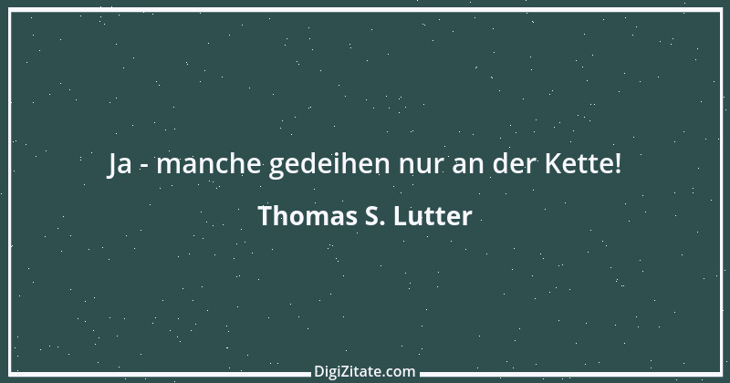 Zitat von Thomas S. Lutter 260