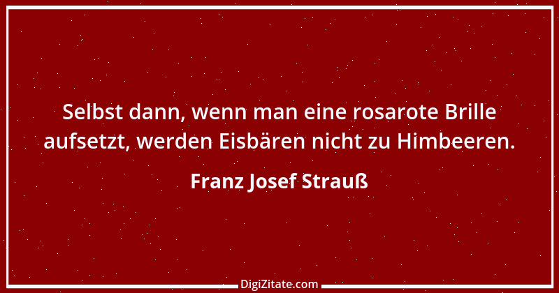 Zitat von Franz Josef Strauß 19