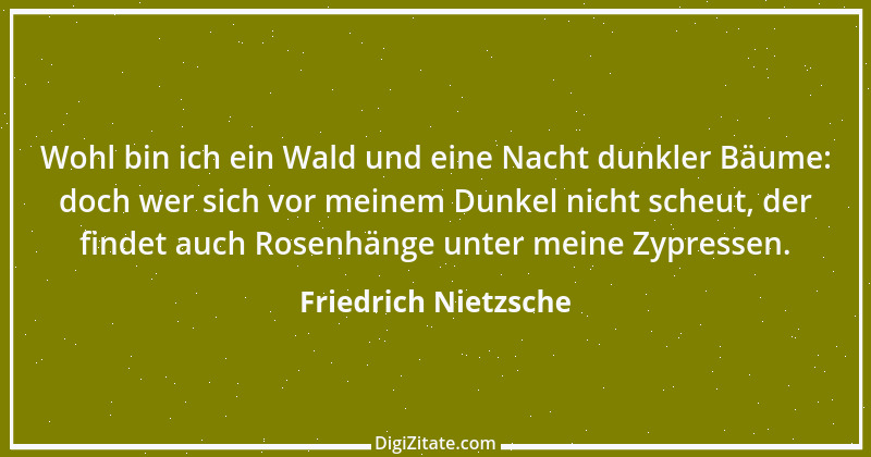 Zitat von Friedrich Nietzsche 492