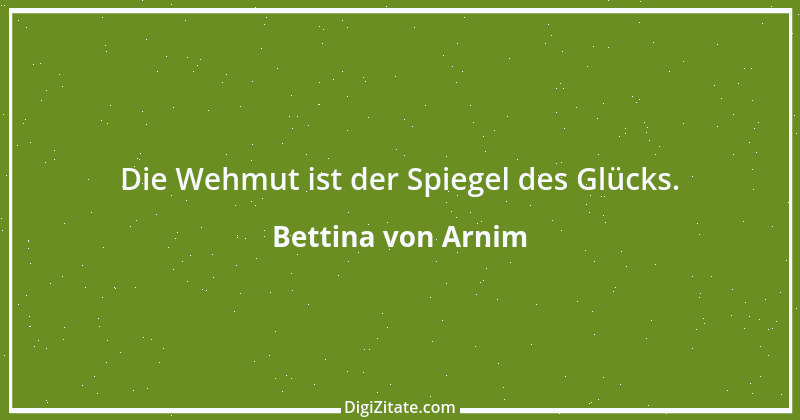 Zitat von Bettina von Arnim 64