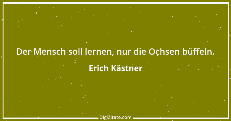 Zitat von Erich Kästner 59