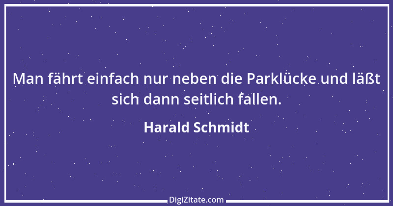 Zitat von Harald Schmidt 127