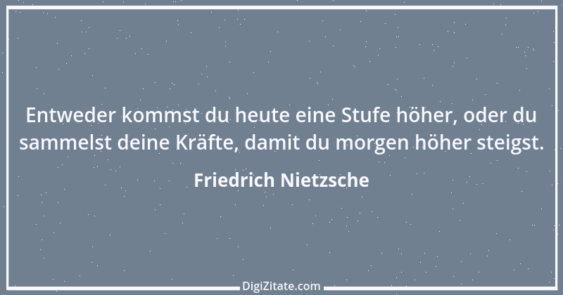 Zitat von Friedrich Nietzsche 493