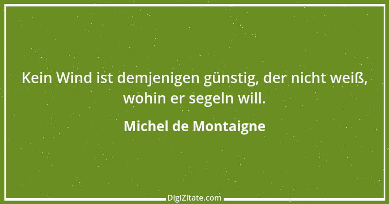 Zitat von Michel de Montaigne 244