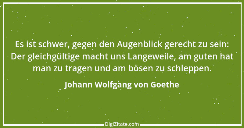 Zitat von Johann Wolfgang von Goethe 558