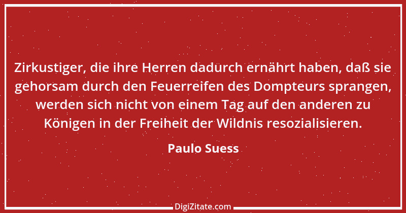 Zitat von Paulo Suess 1