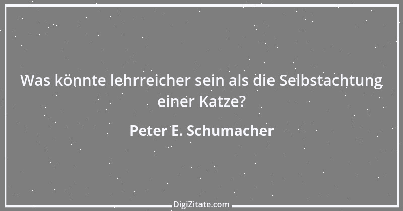 Zitat von Peter E. Schumacher 365