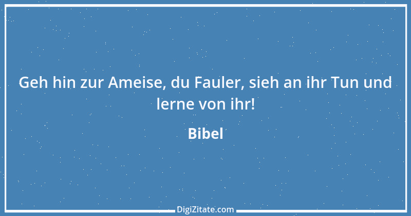 Zitat von Bibel 1596