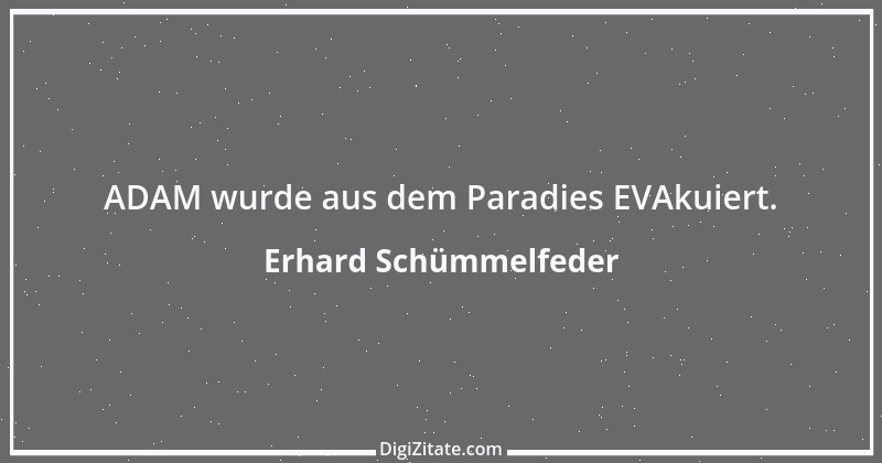 Zitat von Erhard Schümmelfeder 60