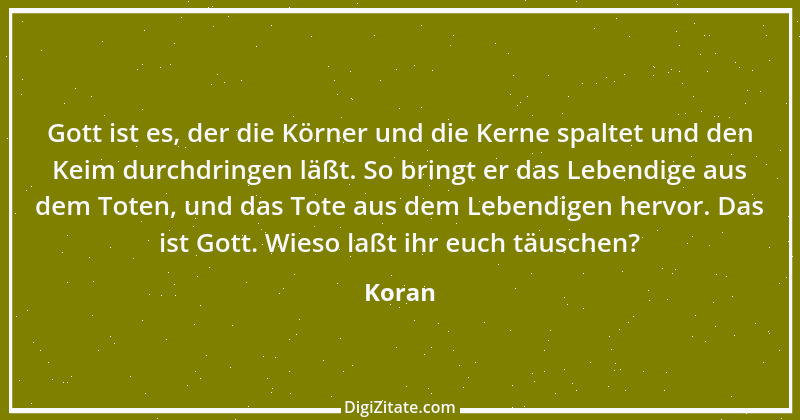 Zitat von Koran 6