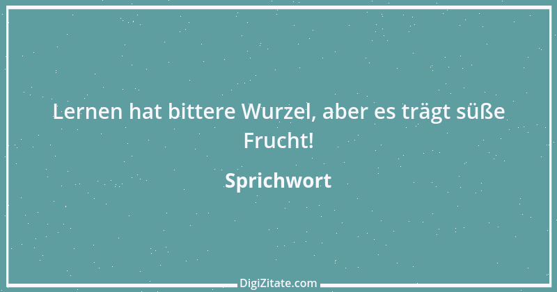 Zitat von Sprichwort 9554