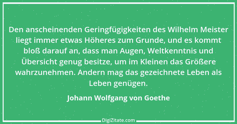 Zitat von Johann Wolfgang von Goethe 563