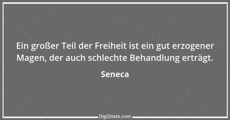 Zitat von Seneca 699