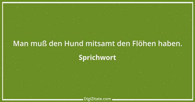 Zitat von Sprichwort 4555