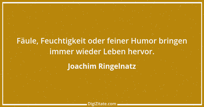 Zitat von Joachim Ringelnatz 58