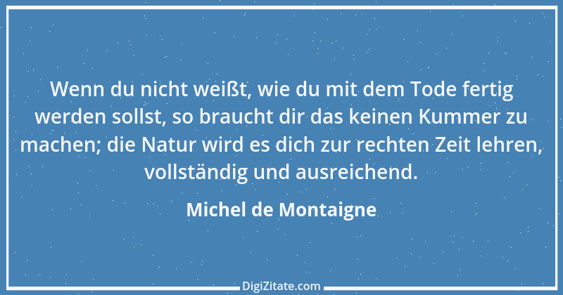 Zitat von Michel de Montaigne 253