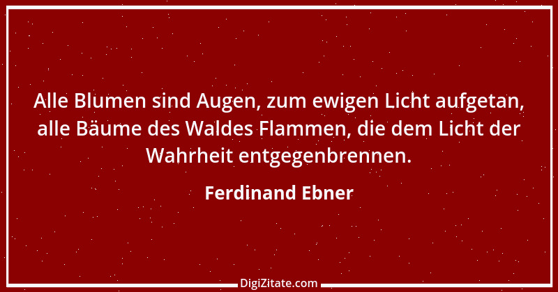 Zitat von Ferdinand Ebner 2