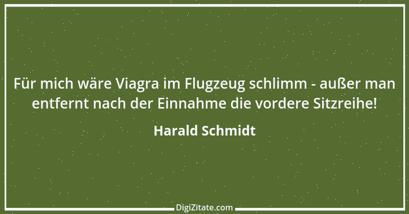 Zitat von Harald Schmidt 128