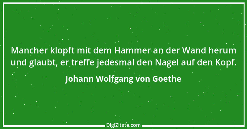 Zitat von Johann Wolfgang von Goethe 2810