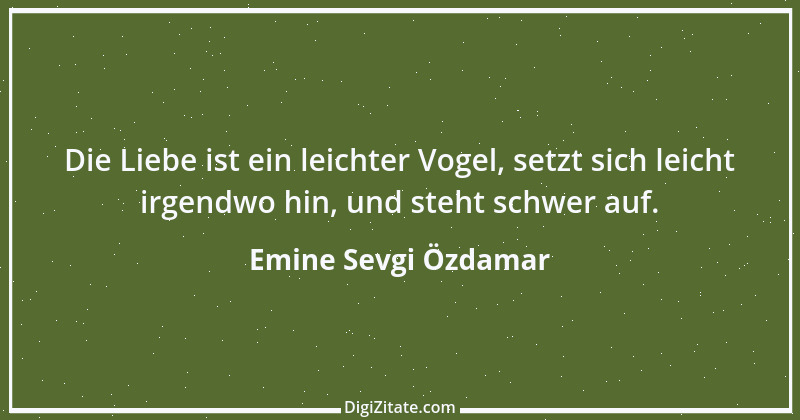 Zitat von Emine Sevgi Özdamar 1