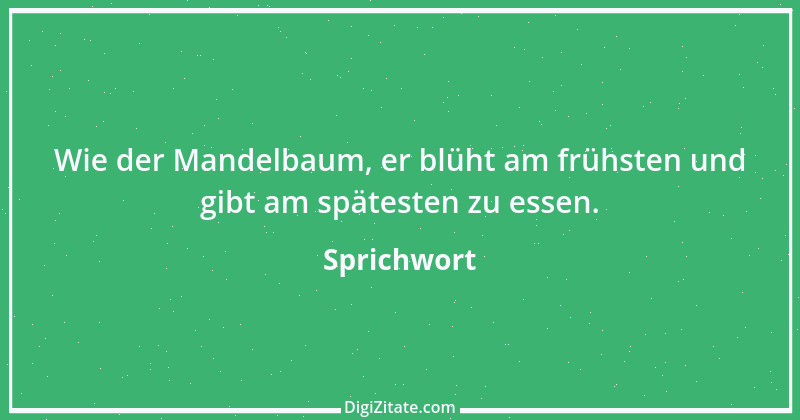 Zitat von Sprichwort 9558