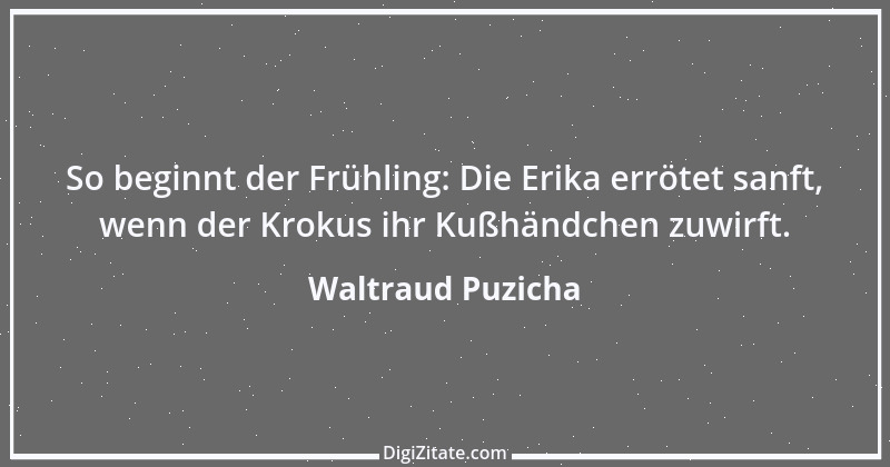 Zitat von Waltraud Puzicha 216