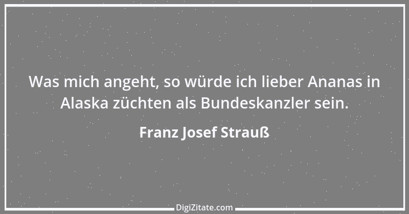 Zitat von Franz Josef Strauß 31