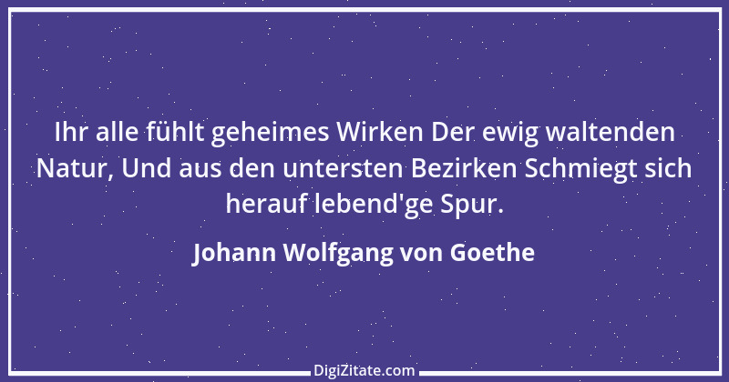 Zitat von Johann Wolfgang von Goethe 1567