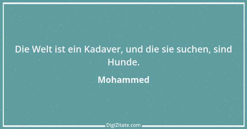 Zitat von Mohammed 83