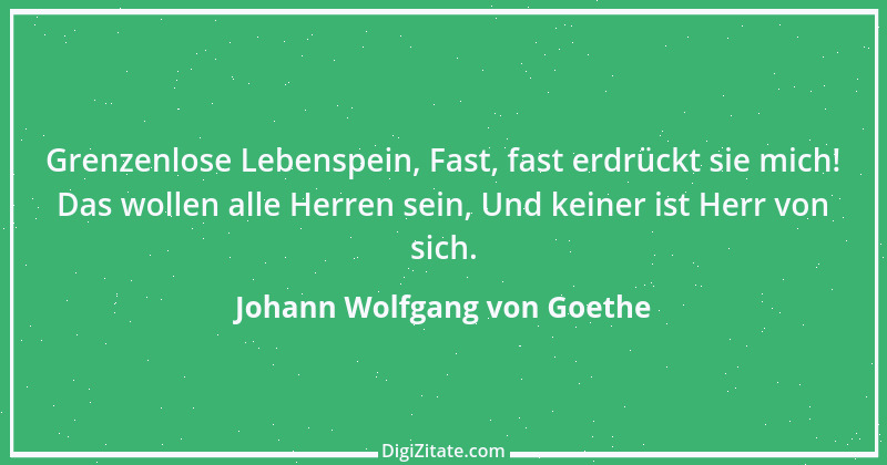 Zitat von Johann Wolfgang von Goethe 568