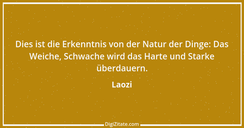 Zitat von Laozi 294