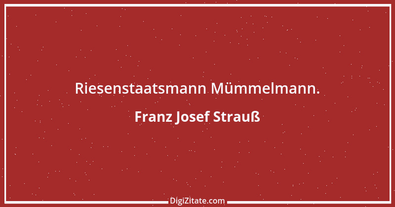 Zitat von Franz Josef Strauß 33